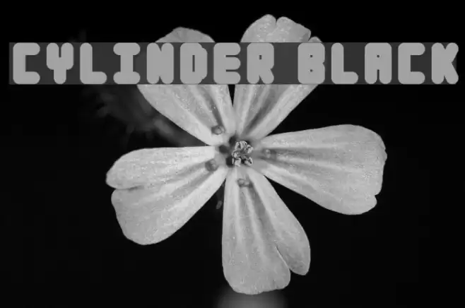 Cylinder Black Font examples