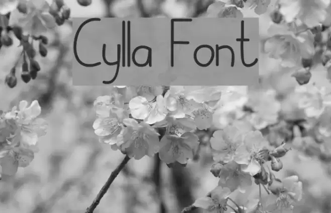 Cylla Font examples