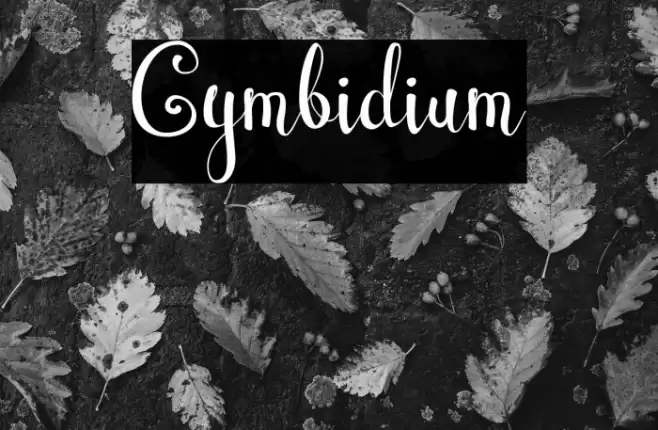 Cymbidium Font examples