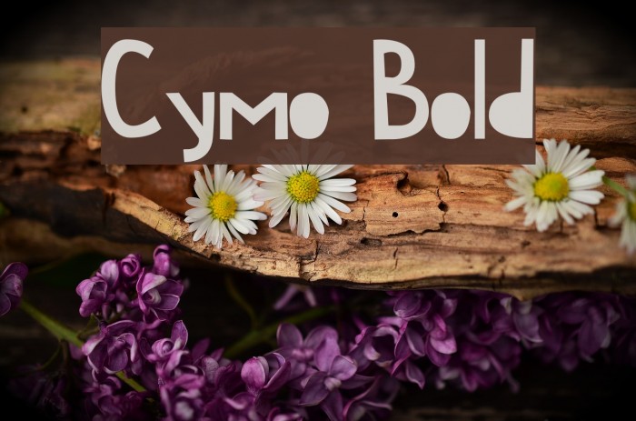 Cymo Bold Font examples
