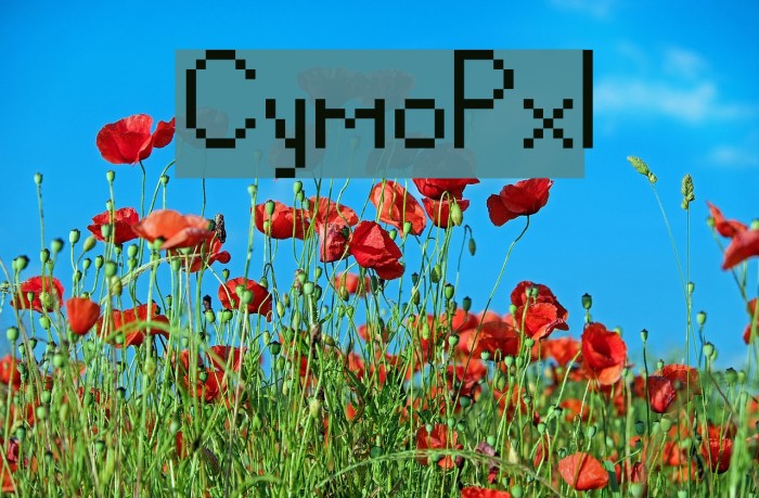 CymoPxl Example 3