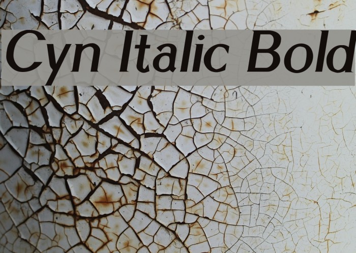 Cyn Italic Bold Font examples