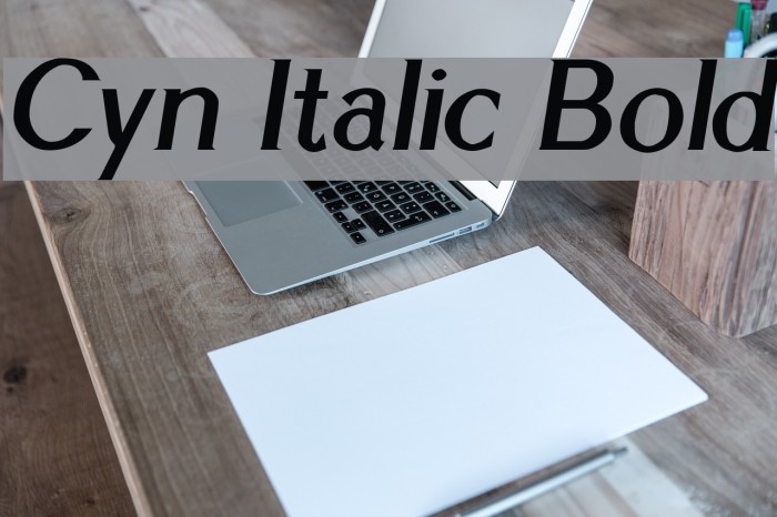Cyn Italic Bold Font examples