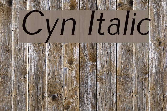 Cyn Italic Font examples