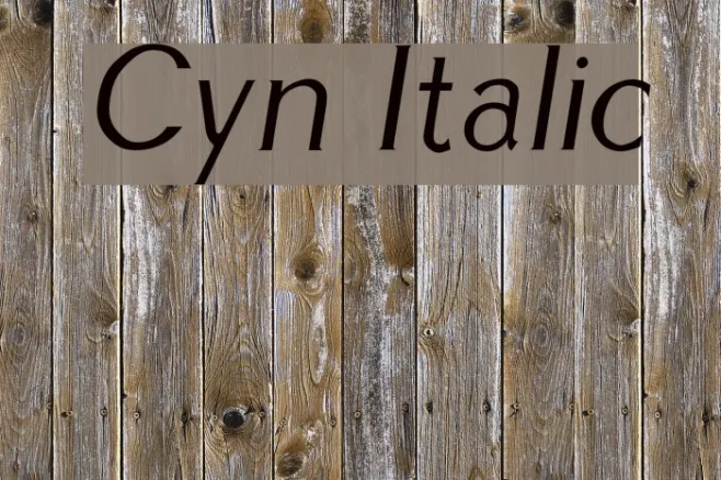 Cyn Italic Example 1