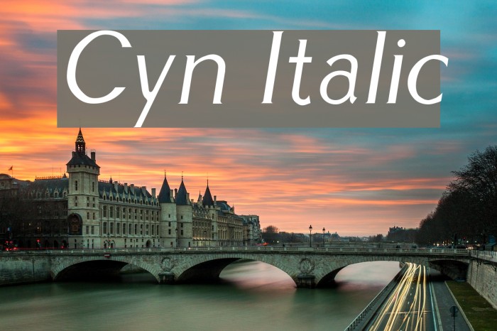 Cyn Italic Font examples
