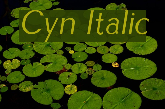Cyn Italic Font examples