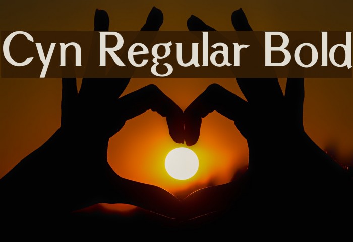 Cyn Regular Bold Font examples