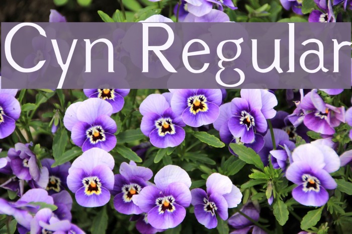 Cyn Regular Font examples