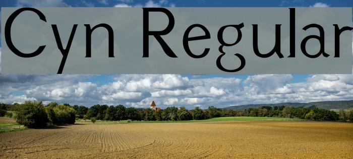 Cyn Regular Font examples