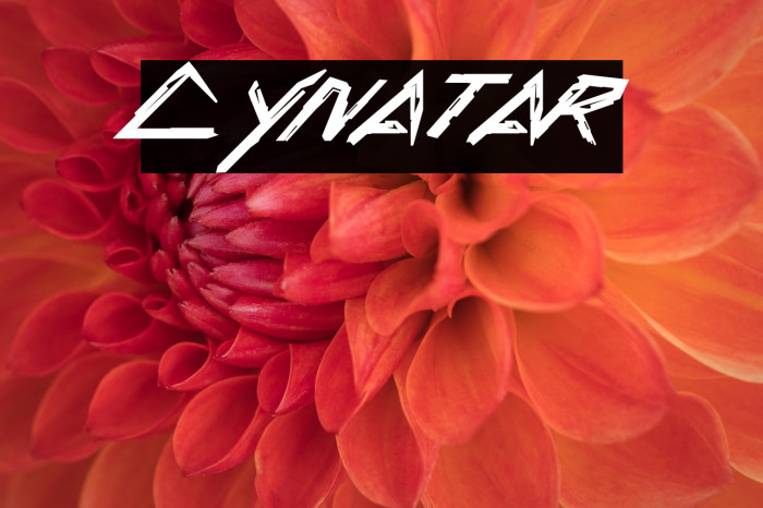 Cynatar Example 2