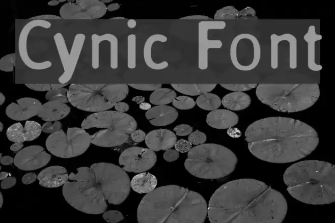 Cynic Font examples