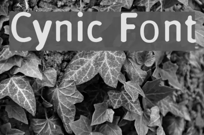 Cynic Font examples