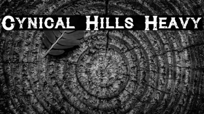 Cynical Hills Heavy Font examples