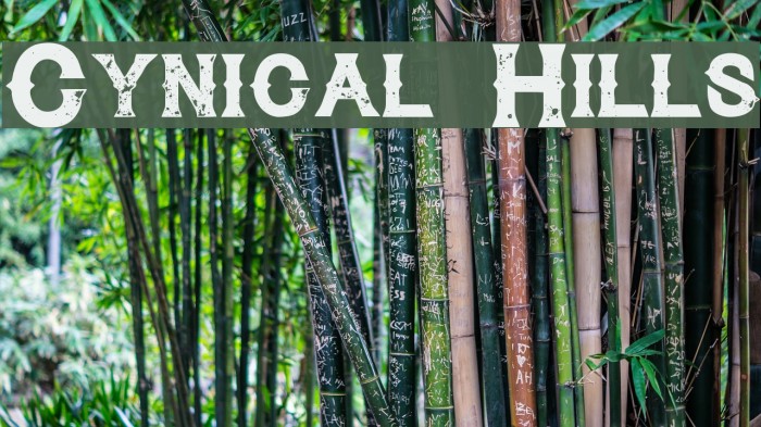 Cynical Hills Example 3