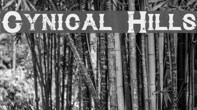 Cynical Hills Font examples