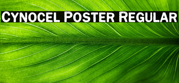 Cynocel Poster Regular Example 1