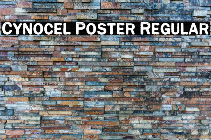 Cynocel Poster Regular Example 2