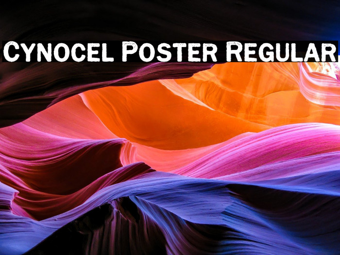 Cynocel Poster Regular Example 3