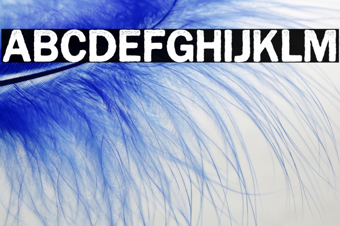 CynocelPoster-Regular Example 3