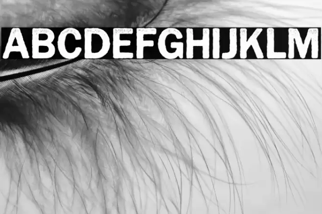 CynocelPoster-Regular Font examples