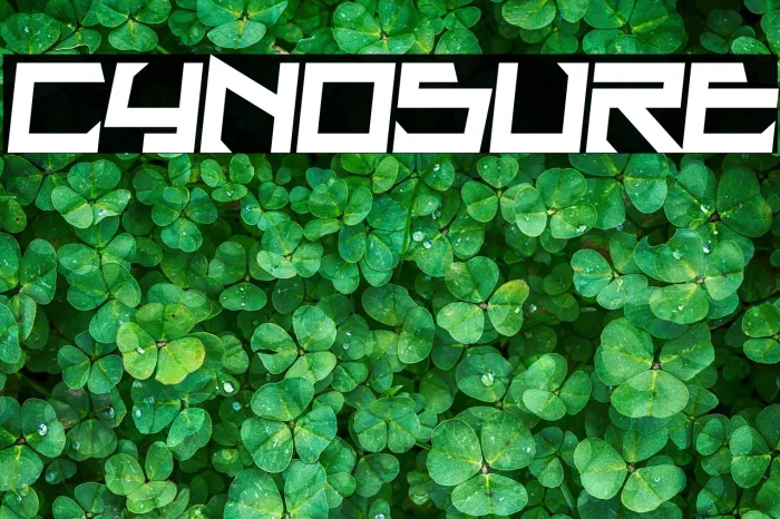 Cynosure Example 2