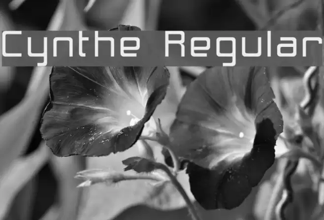 Cynthe Regular Font examples