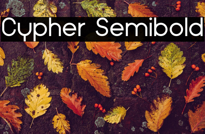 Cypher Semibold Example 2