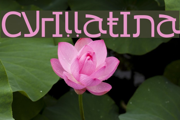 Cyrillatina Font examples