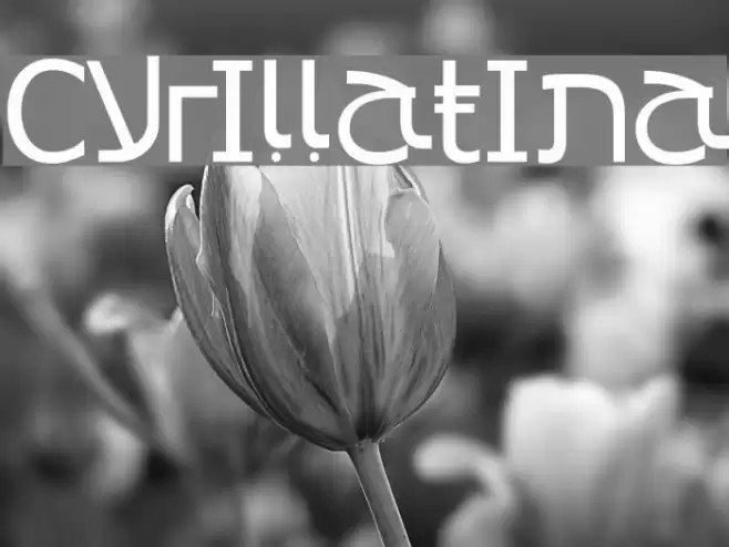 Cyrillatina Font examples