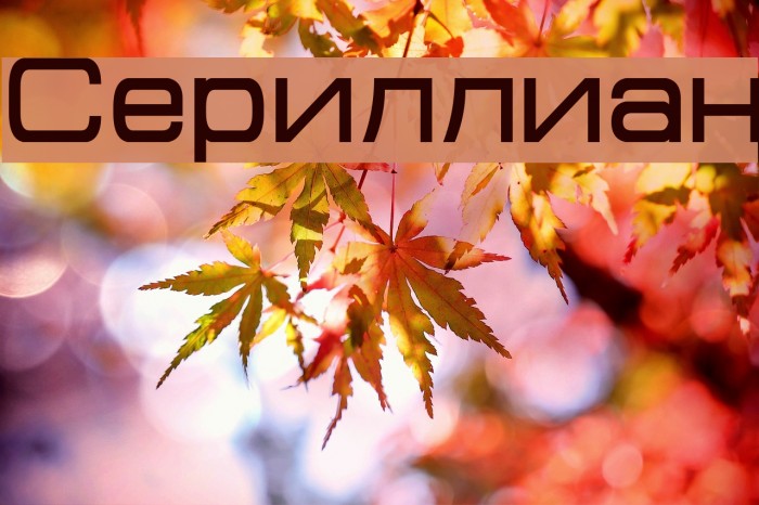 Cyrillian Font examples