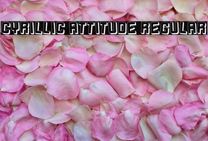 Cyrillic Attitude Regular Example 1