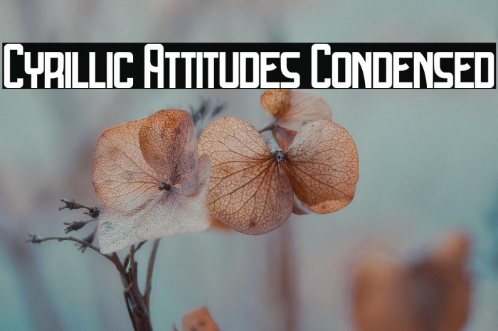 Cyrillic Attitudes Condensed Example 2