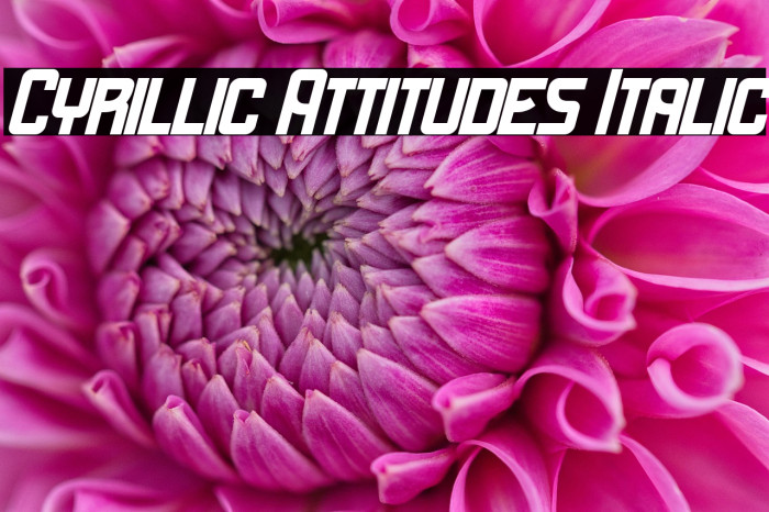Cyrillic Attitudes Italic Example 1