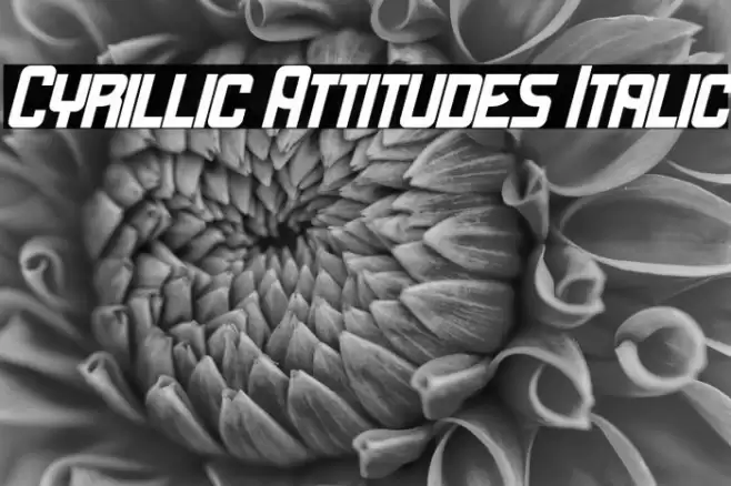 Cyrillic Attitudes Italic Font examples