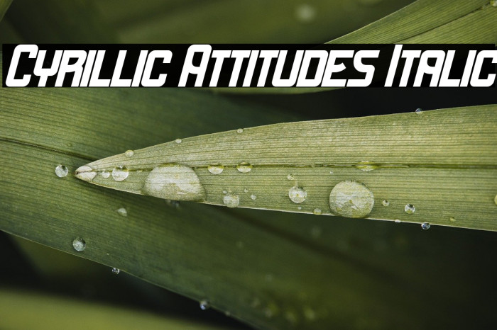 Cyrillic Attitudes Italic Example 2