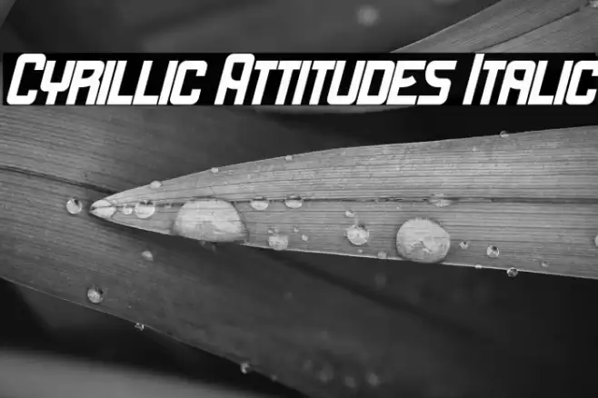 Cyrillic Attitudes Italic Font examples