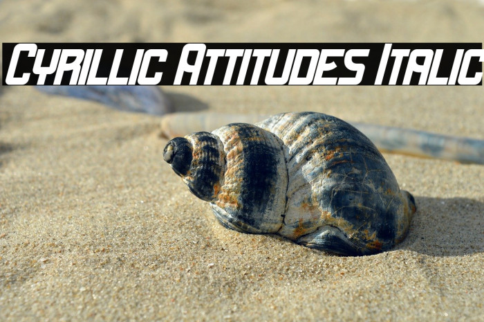 Cyrillic Attitudes Italic Example 3