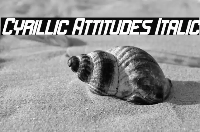 Cyrillic Attitudes Italic Font examples