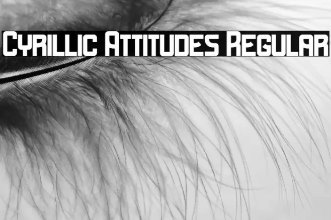 Cyrillic Attitudes Regular Font examples