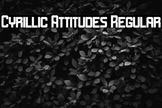 Cyrillic Attitudes Regular Font examples