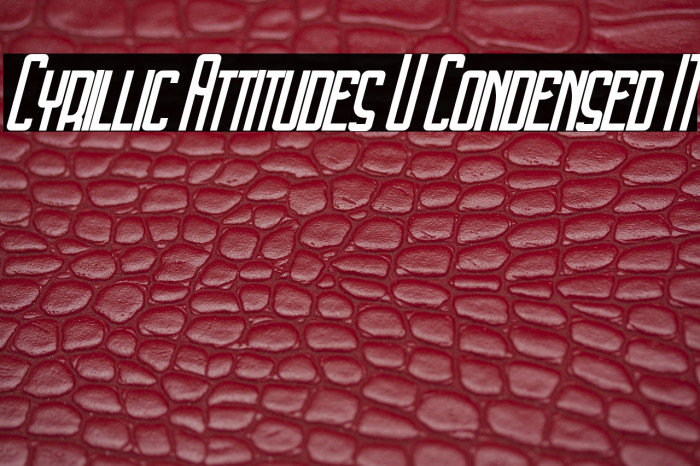 Cyrillic Attitudes U Condensed IT Example 1