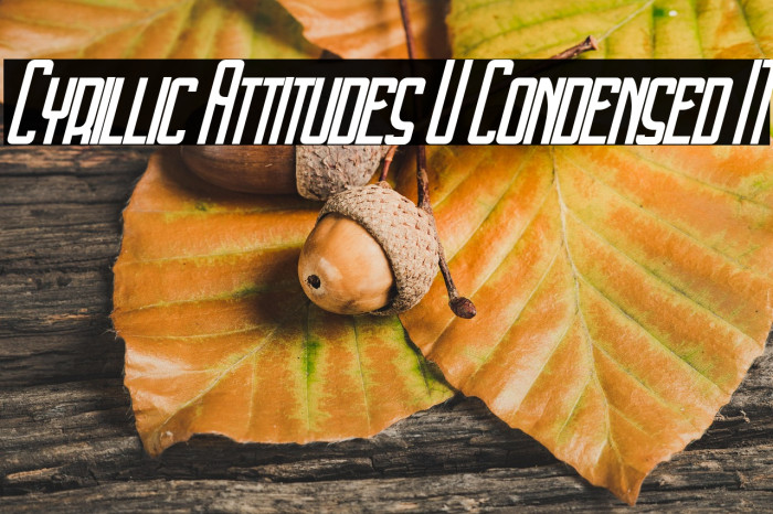 Cyrillic Attitudes U Condensed IT Example 3