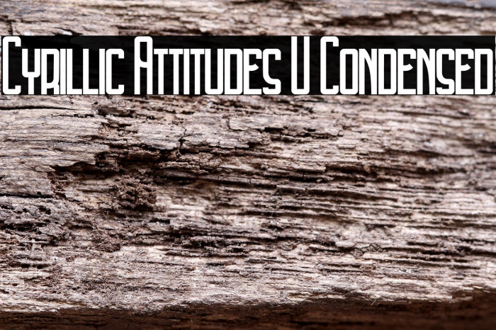 Cyrillic Attitudes U Condensed Example 3