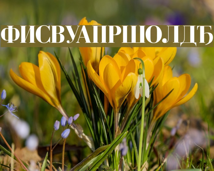Cyrillic-Bold Font examples