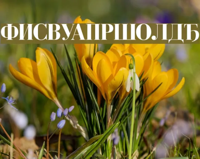Cyrillic-Bold Example 3