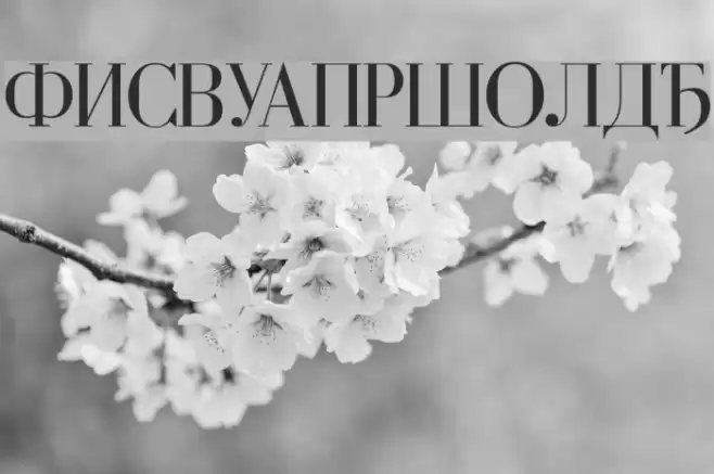 Cyrillic Font examples