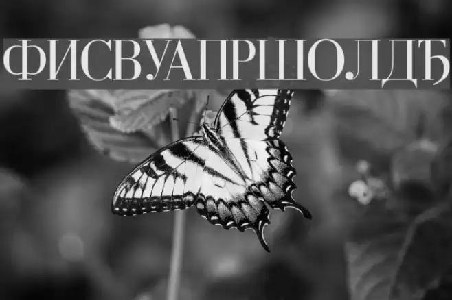 Cyrillic Font examples