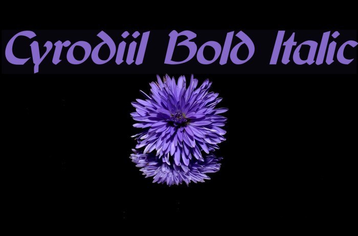 Cyrodiil Bold Italic Font examples