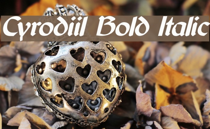 Cyrodiil Bold Italic Font examples